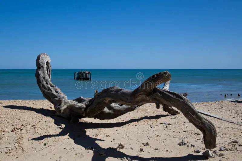 0 Bedroom Property for Sale in Atlantic Sands Private Estate Western Cape